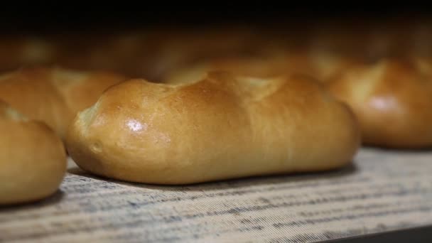 Productie van brood. Gemechaniseerde bakkerij. — Stockvideo