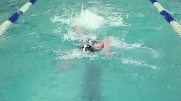 Пловец плавает в бассейне — стоковое видео