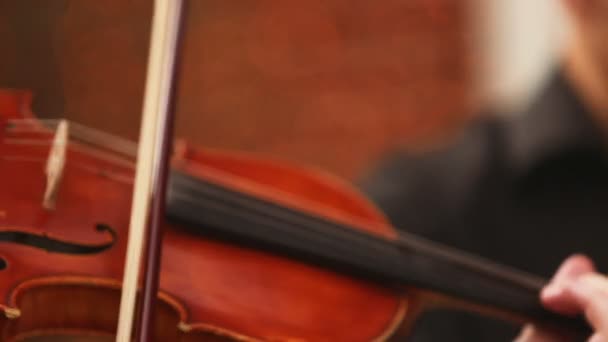 Violin and bow — Stock Video