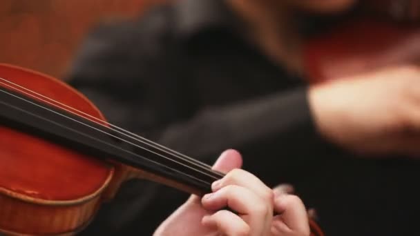 Violin and bow — Stock Video