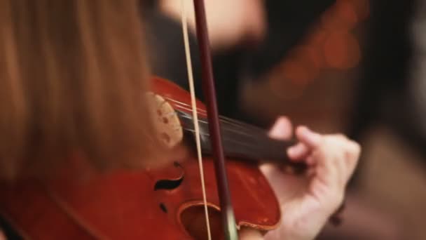Скрипка и лук — стоковое видео