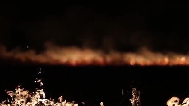 Fuego y humo. Tenedores de llama — Vídeos de Stock