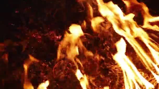 Ночной огонь на черном фоне — стоковое видео
