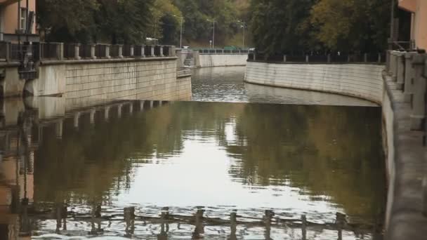 La rivière de la ville. Le barrage sur la rivière — Video