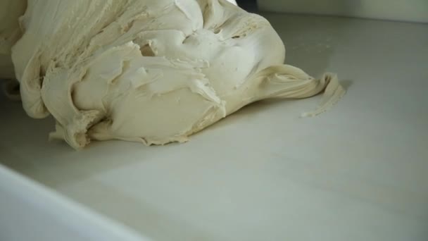 Pasta fresca lussureggiante — Video Stock