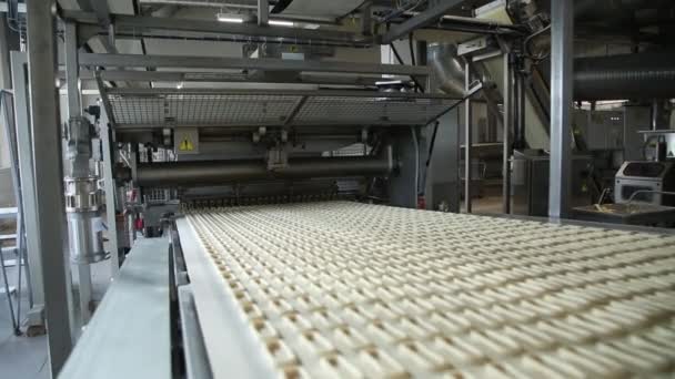 Pastelería. Producción de rosquillas — Vídeo de stock