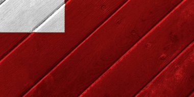 Abu Dabi 'nin resmi bayrağı, Birleşik Arap Emirlikleri' nin başkenti, ahşap doku üzerine. Kavramsal kolaj.