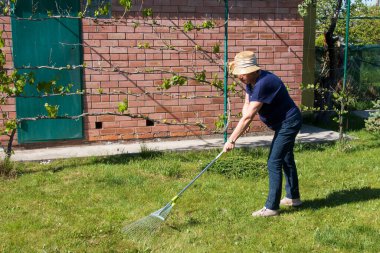 Hasır şapka takan yaşlı bir kadın bahçesindeki yeşil çimenleri tırmıkla tırmıklıyor. Baharda çim sağlığı.
