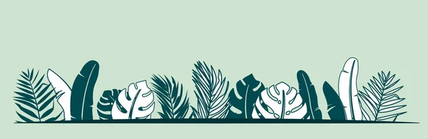 Selva planta vector borde ilustración con hojas de árboles tropicales plátano, monstera, palma — Vector de stock