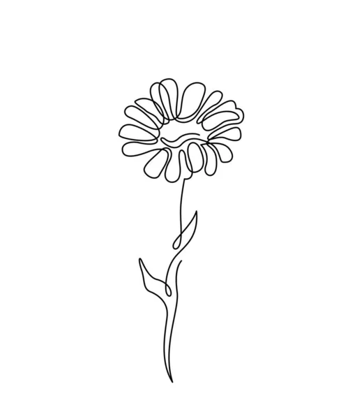 Ilustração da flor de camomila em estilo contorno contínuo mínimo simples. Natureza flor margarida arte para design botânico floral. Isolado sobre fundo branco —  Vetores de Stock