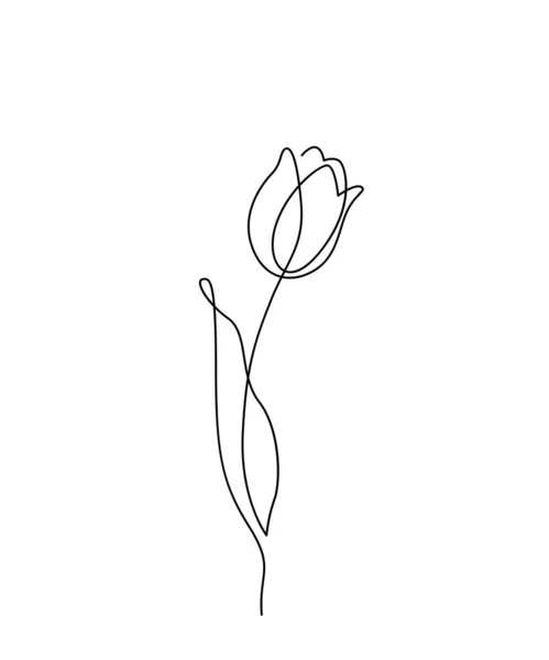 Tulpenblütenvektorillustration im einfachen, minimalen, durchgehenden Umrissstil. Naturblütenkunst für florales botanisches Design. Isoliert auf weißem Hintergrund — Stockvektor