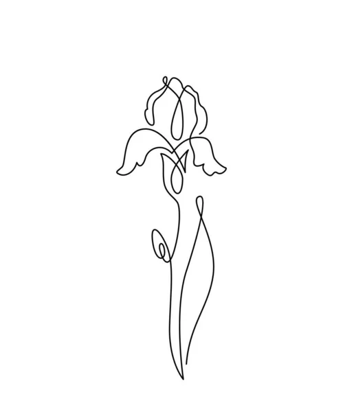 Iris kwiat wektor ilustracji w prosty minimalny ciągły zarys stylu. Natura kwitnie sztuka kwiatowego botanicznego designu. Izolacja na białym tle — Wektor stockowy