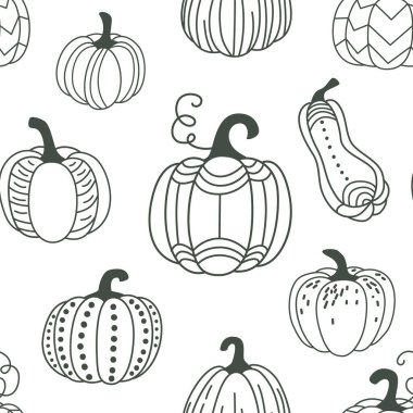 Balkabağı desensiz vektör çizimi. Basit modern karalama tarzında su kabakları. Şükran Günü, Cadılar Bayramı, Sonbahar hasat tasarımı