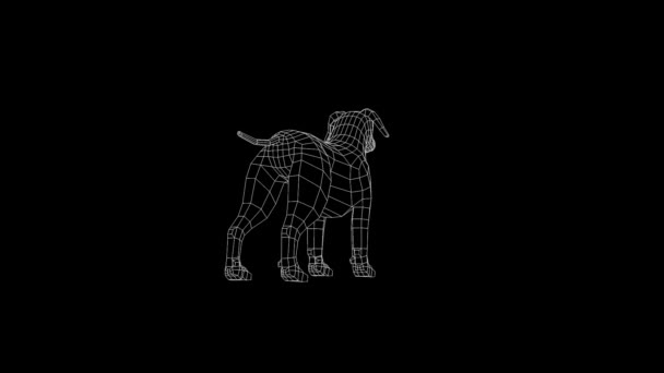 Hond in Wireframe animatie — Stockvideo