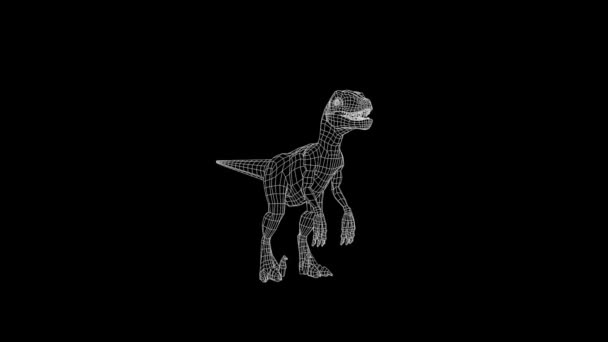 Dinosauro in animazione wireframe — Video Stock