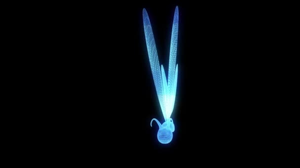 Butterfly Hologram Animation — Stock Video