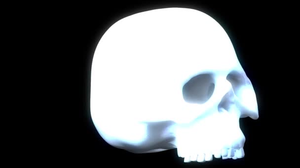 Cráneo fantasma holograma — Vídeo de stock