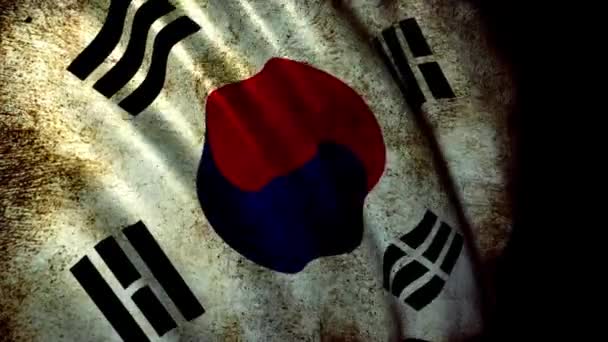Sydkoreas flag – Stock-video
