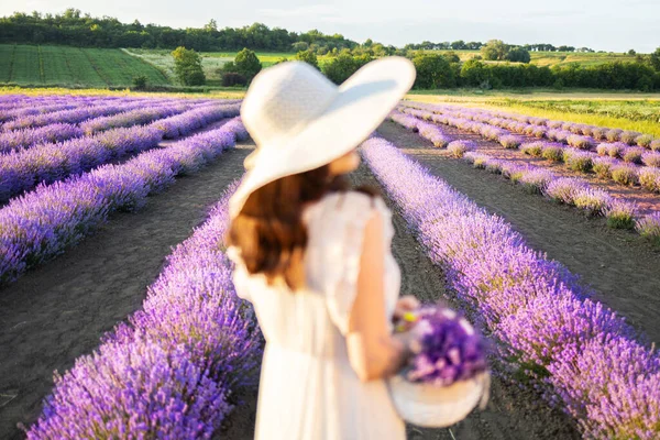 Mädchen Lavendelfeld Bokeh Porträt Eines Schönen Rothaarigen Mädchens Mit Sonnenbrille — Stockfoto