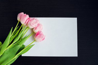 Pembe lalelerin üst görünümü