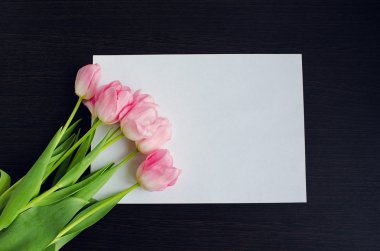 Kağıt üzerine lale