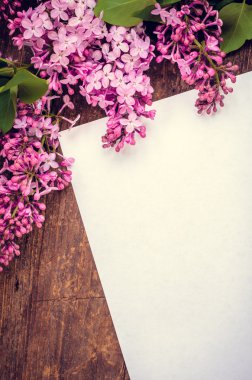 Bunch of lilac with blank paper page