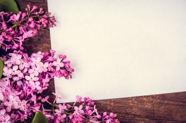Bunch of lilac with blank paper page