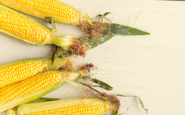Espigas maduras de maíz sobre un fondo — Foto de Stock