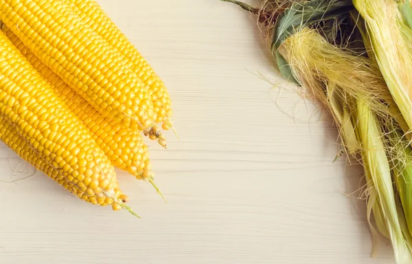 Espigas maduras de maíz sobre un fondo — Foto de Stock