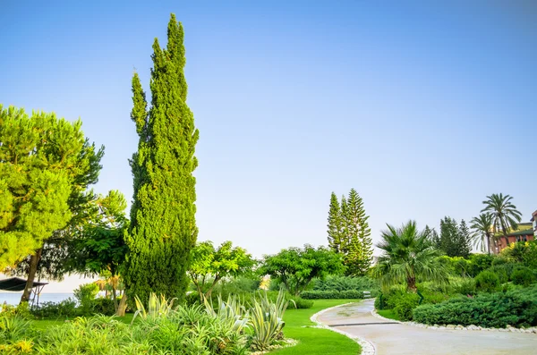 Tropical landscaping with planting and trees — Stock Photo, Image