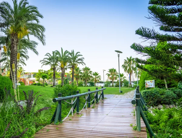 Dikim ve palmiye ağaçları ile tropikal peyzaj