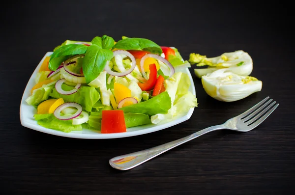 Ensalada de verduras frescas con hinojo — Foto de Stock