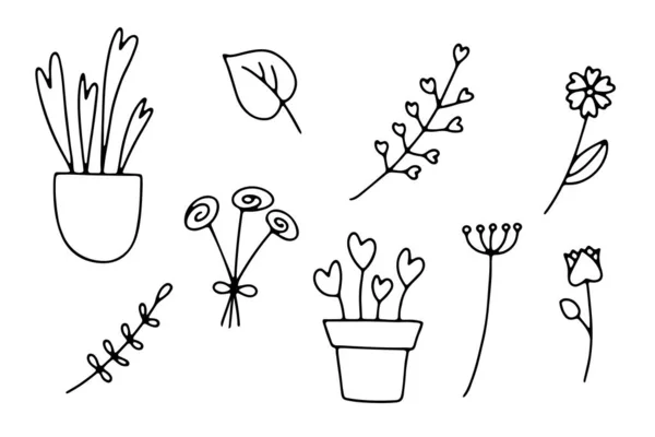 Σετ Φυτά Φύλλα Ζωγραφισμένα Στο Χέρι Ζουμερά Λουλούδι Καρδιές Περίγραμμα — Διανυσματικό Αρχείο