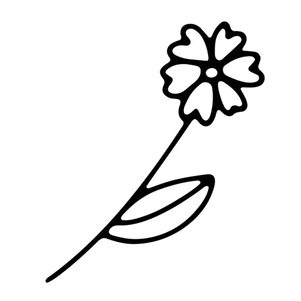 Doodle Blomma Handritad Växt Isolerad Vit Bakgrund Blomma Med Blad — Stock vektor