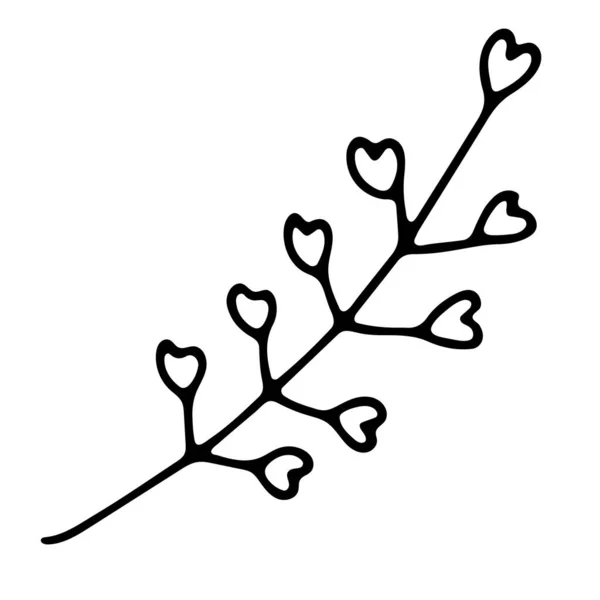 Doodle Shepherds Táska Kézzel Húzott Növény Elszigetelt Fehér Háttérrel Leveles — Stock Vector