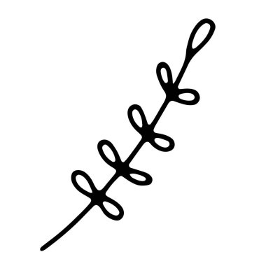 Narin bir dal karala. Beyaz arka planda el çizimi sevimli bitkiler. Küçük yapraklı bitki. İç mekan, bahçıvanlık, tatil, düğün için vektör illüstrasyonu. Minimalist botanik posteri