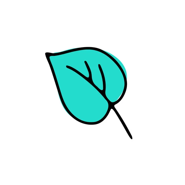 Choulostivý List Ručně Kreslené Roztomilé Zelené Rostliny Izolované Bílém Pozadí — Stockový vektor