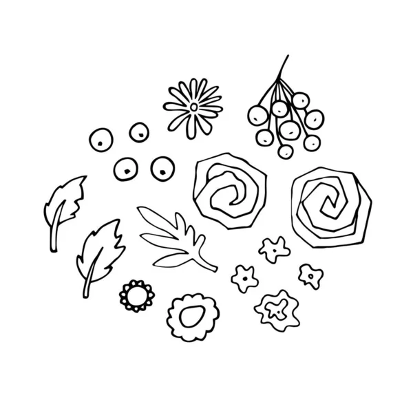 花がセットされてる 概要白地に隔離された抽象植物 手描きの葉 装飾的な記号 様式化されたハーブ要素 ベクトル花スケッチイラスト — ストックベクタ