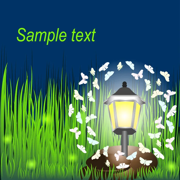 Kelebekler ve ateş böcekleri ile çimenlerin üzerinde fener.