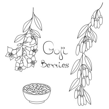 Superfood goji meyveleri. 