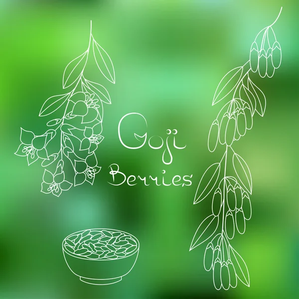 Superfood goji meyveleri. 