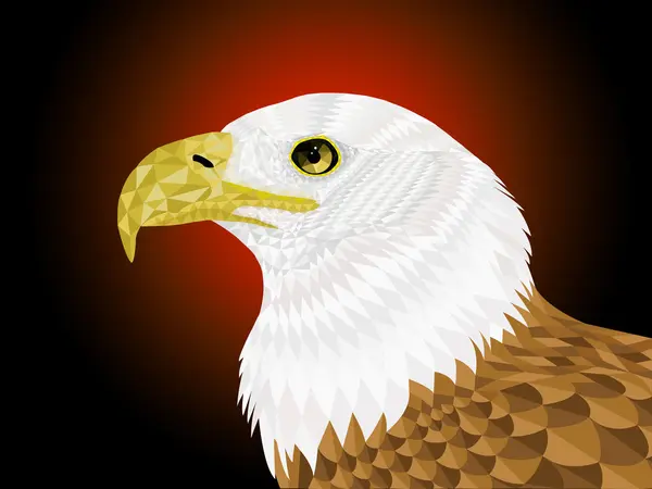 Düşük Poli kartal vektör çizim