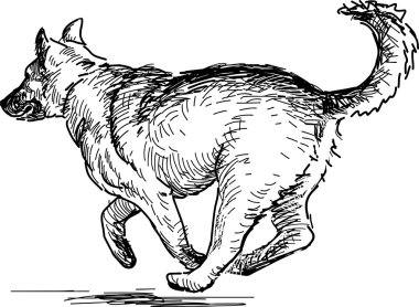 çalışan köpek kroki