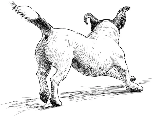 Correre lap dog — Vettoriale Stock