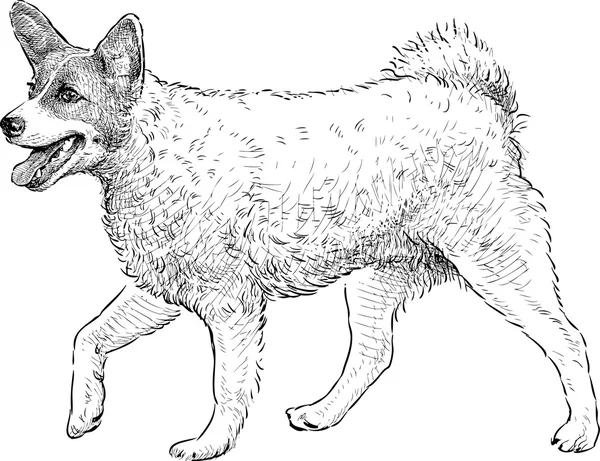 Симпатичная собака — стоковый вектор