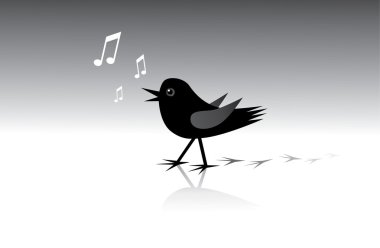 bir melodi şarkı kuş