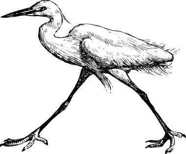 uzun adımlarla heron kroki