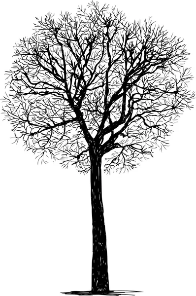 Siluet pohon - Stok Vektor