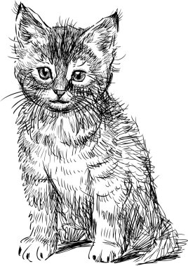 sitting kitten sketch clipart