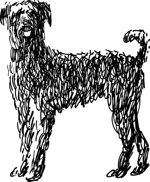 Doodle cão desgrenhado — Vetor de Stock